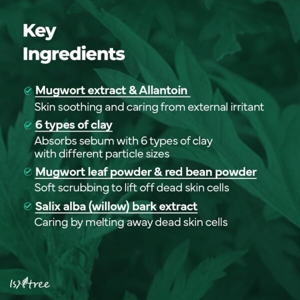 Isntree - Mugwort Clay Mask - 100ml