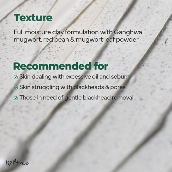 Isntree - Mugwort Clay Mask - 100ml