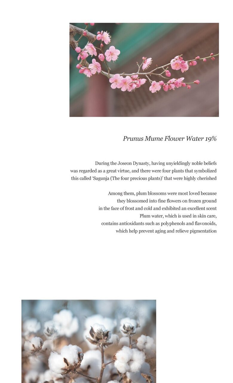 BEAUTY OF JOSEON - Apricot Blossom Peeling Gel - 100ml