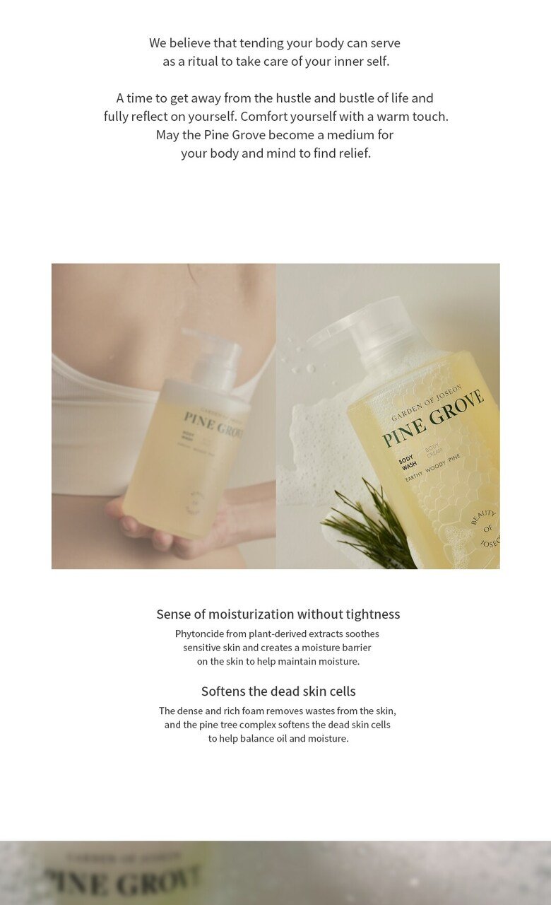 BEAUTY OF JOSEON - Pine Grove : Body Wash - 400ml