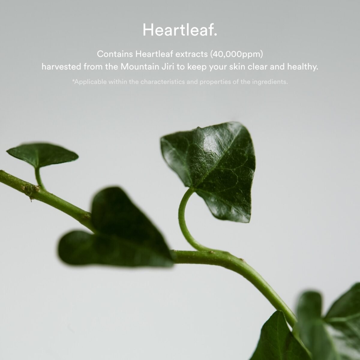 Abib - Heartleaf Spot Pad Calming Touch - 150ml / 80pads