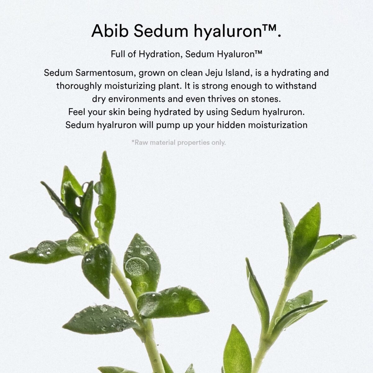 Abib - Sedum Hyaluron Pad Hydrating Touch - 165ml / 75 Pads