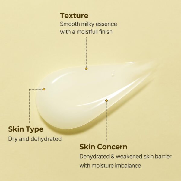 Torriden - Solid-In Ceramide All Day Essence - 100ml