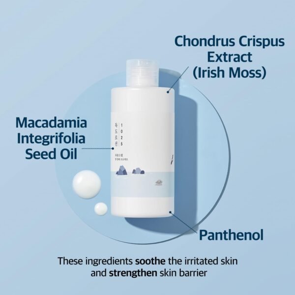 Round Lab - 1025 Dokdo Lotion