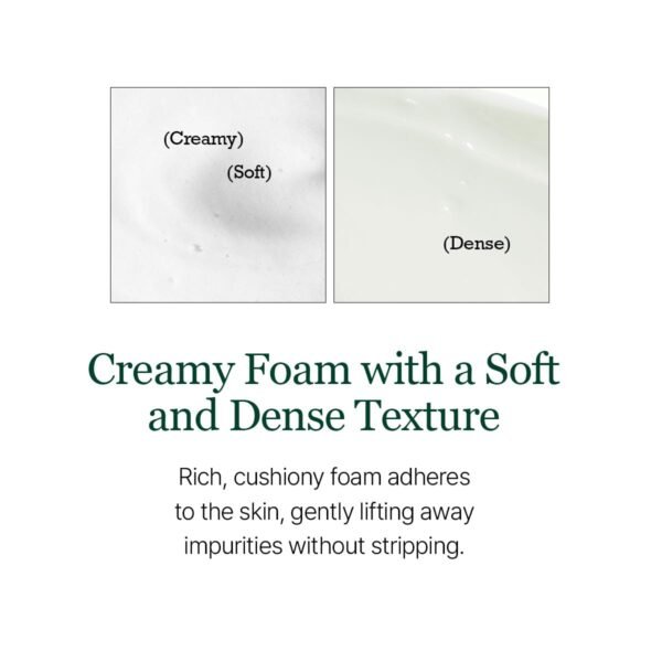 Skip to the beginning of the images gallery Round Lab - Pine Calming Cica Cleanser - 150ml