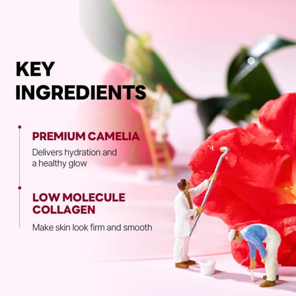 Round Lab - Camellia Deep Collagen Firming Gel Mask Sheet