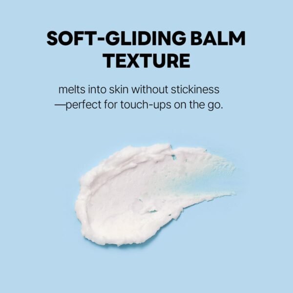 Round Lab - Birch Juice Moisturizing Sun Stick SPF50
