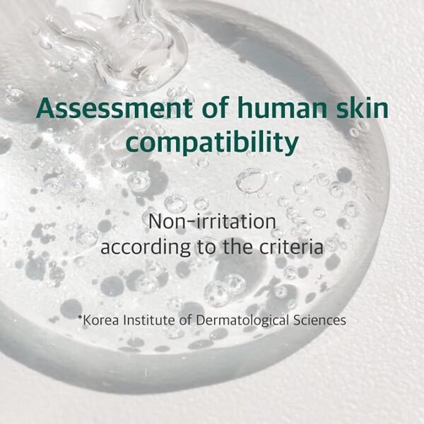 Round Lab - Pine Calming Cica Sheet Mask