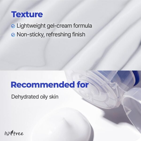 Isntree - Hyaluronic Acid Aqua Gel Cream - 100ml