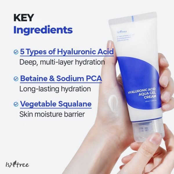 Isntree - Hyaluronic Acid Aqua Gel Cream - 100ml