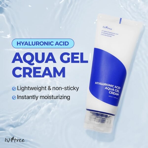 Isntree - Hyaluronic Acid Aqua Gel Cream - 100ml